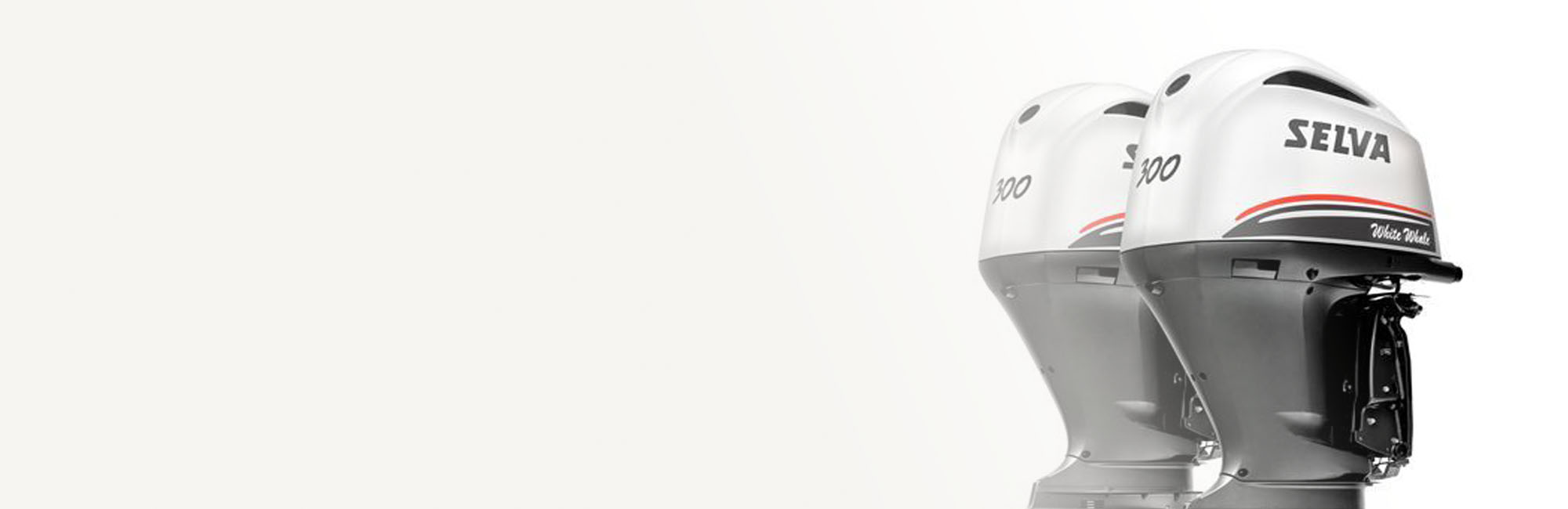 Concessionario e servizio assistenza Selva